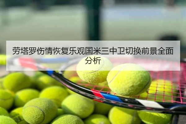 劳塔罗伤情恢复乐观国米三中卫切换前景全面分析